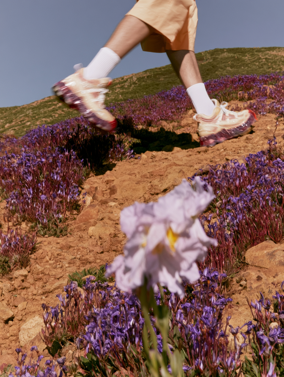 Legs mid-stride up a hillside of purple wildflowers, a pale iris in the foreground